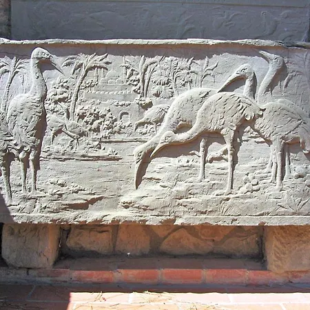 Giarradea