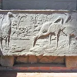 Giarradea