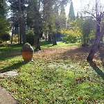 Giarradea